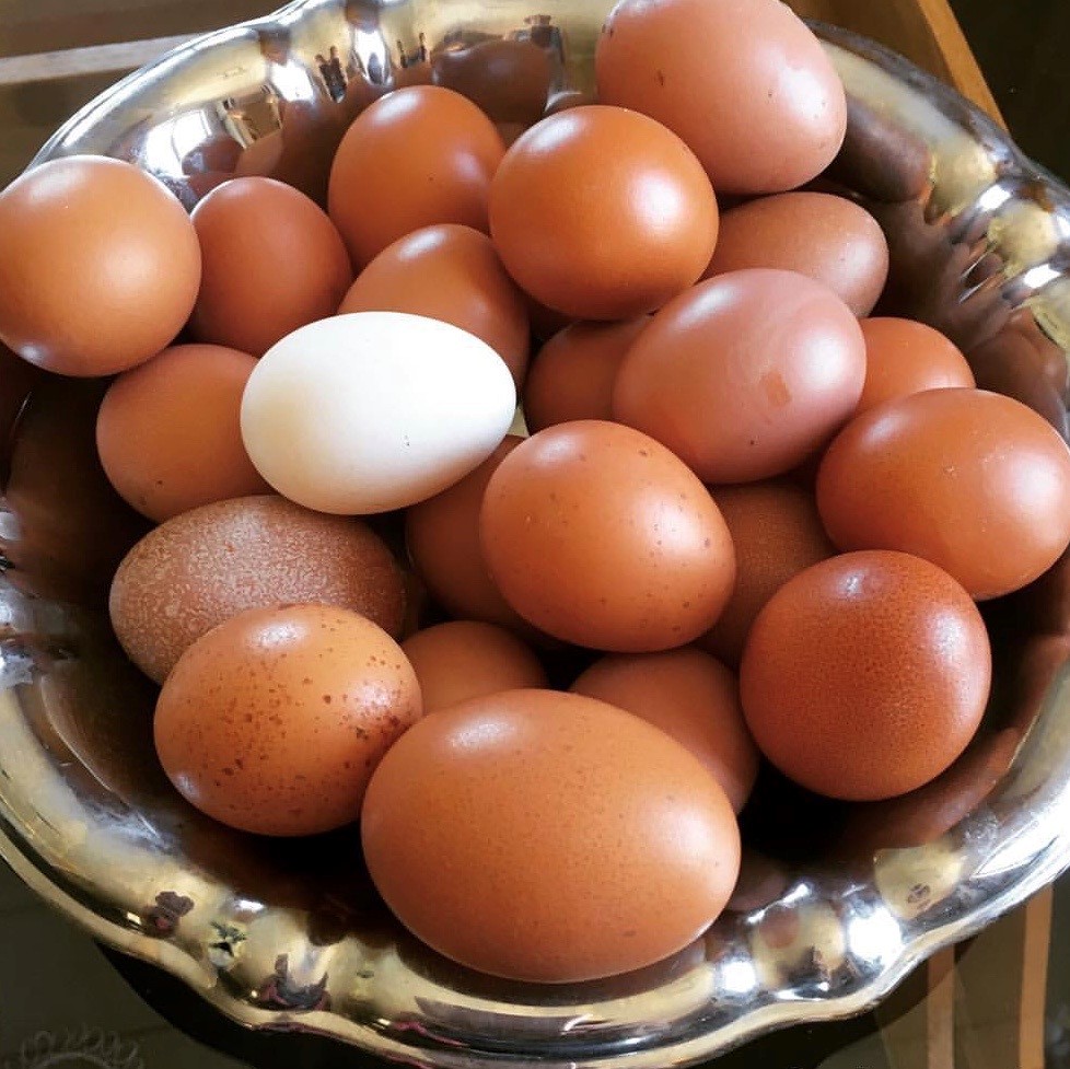Bild på ägg