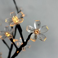 1_5057_flower_lightson_product