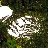 1_5064_stoneXL_lightson_closeup_fern_72dpi